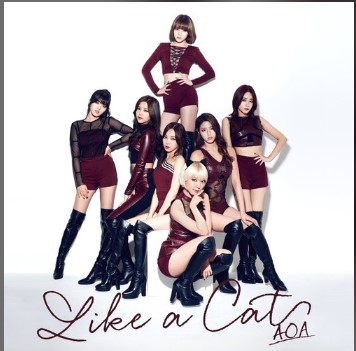 Like A Cat(猫步轻俏)(Japanese Ver.)歌曲歌词谐音